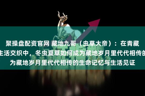 聚操盘配资官网 藏地九哥（虫草大帝）：在青藏高原四季轮回与家族生活交织中，冬虫夏草如何成为藏地岁月里代代相传的生命记忆与生活见证