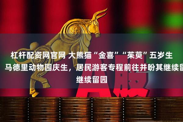 杠杆配资网官网 大熊猫“金喜”“茱萸”五岁生日，马德里动物园庆生，居民游客专程前往并盼其继续留园
