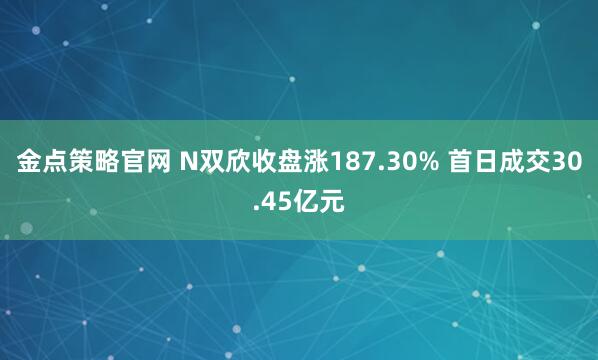 金点策略官网 N双欣收盘涨187.30% 首日成交30.45亿元