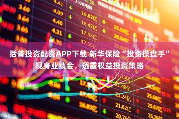 括普投资配资APP下载 新华保险“投资操盘手”现身业绩会,透露权益投资策略