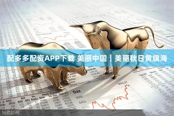 配多多配资APP下载 美丽中国｜美丽秋日黄旗海